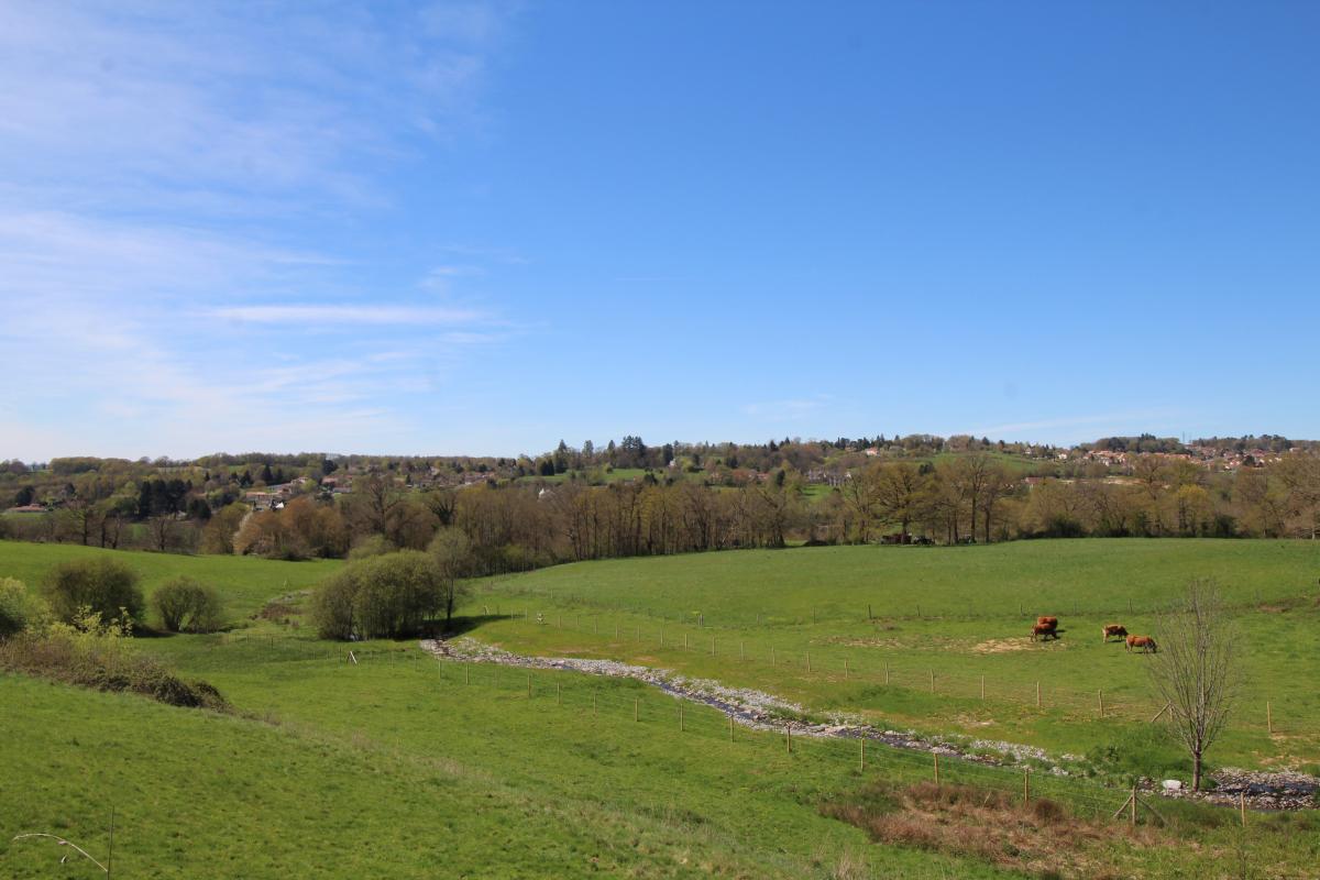 Chez le Bayle, Condat-sur-Vienne - photo 110