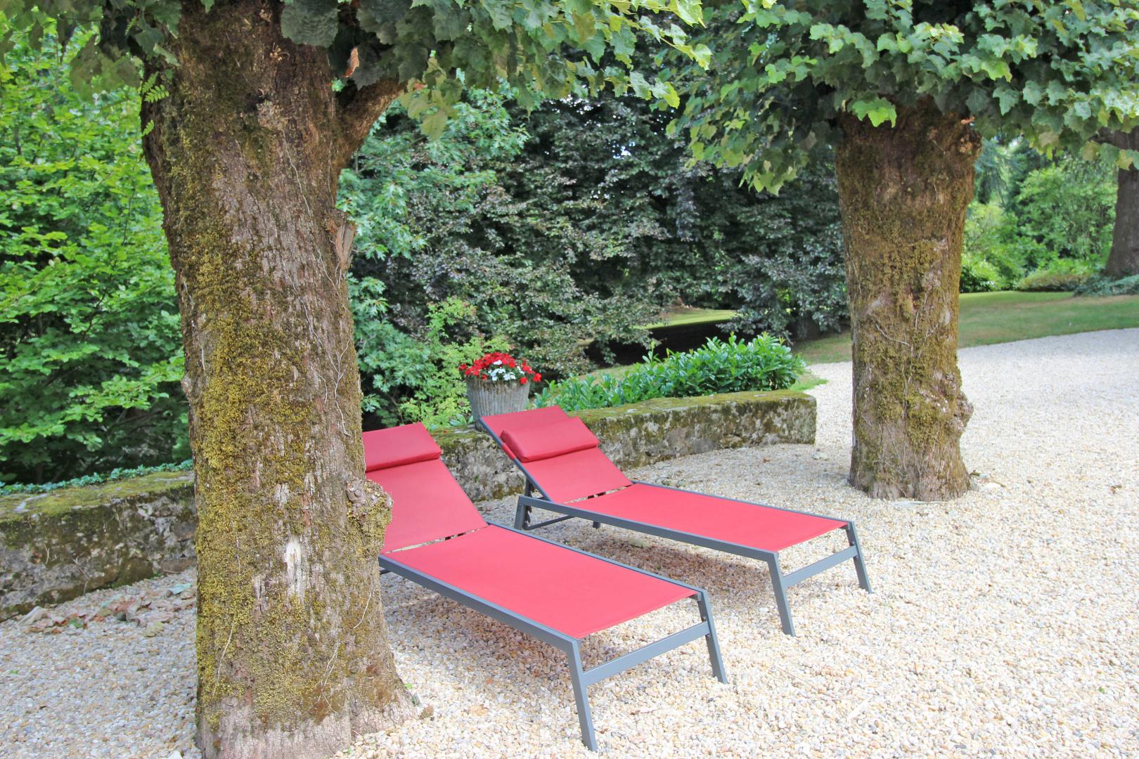 Le Domaine du  Boschaudérier, Saint-Gence - photo 398