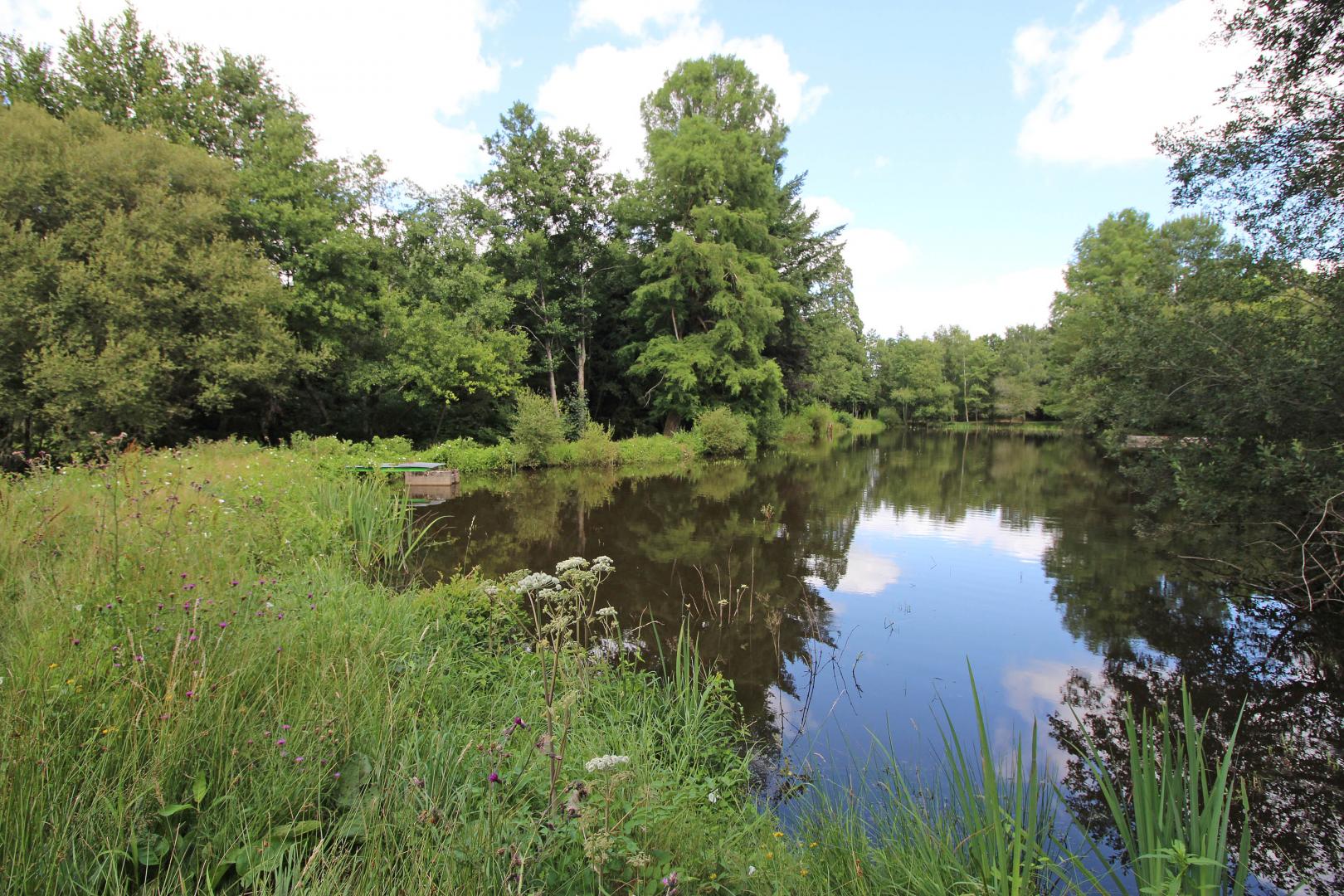 Le Domaine du  Boschaudérier, Saint-Gence - photo 406