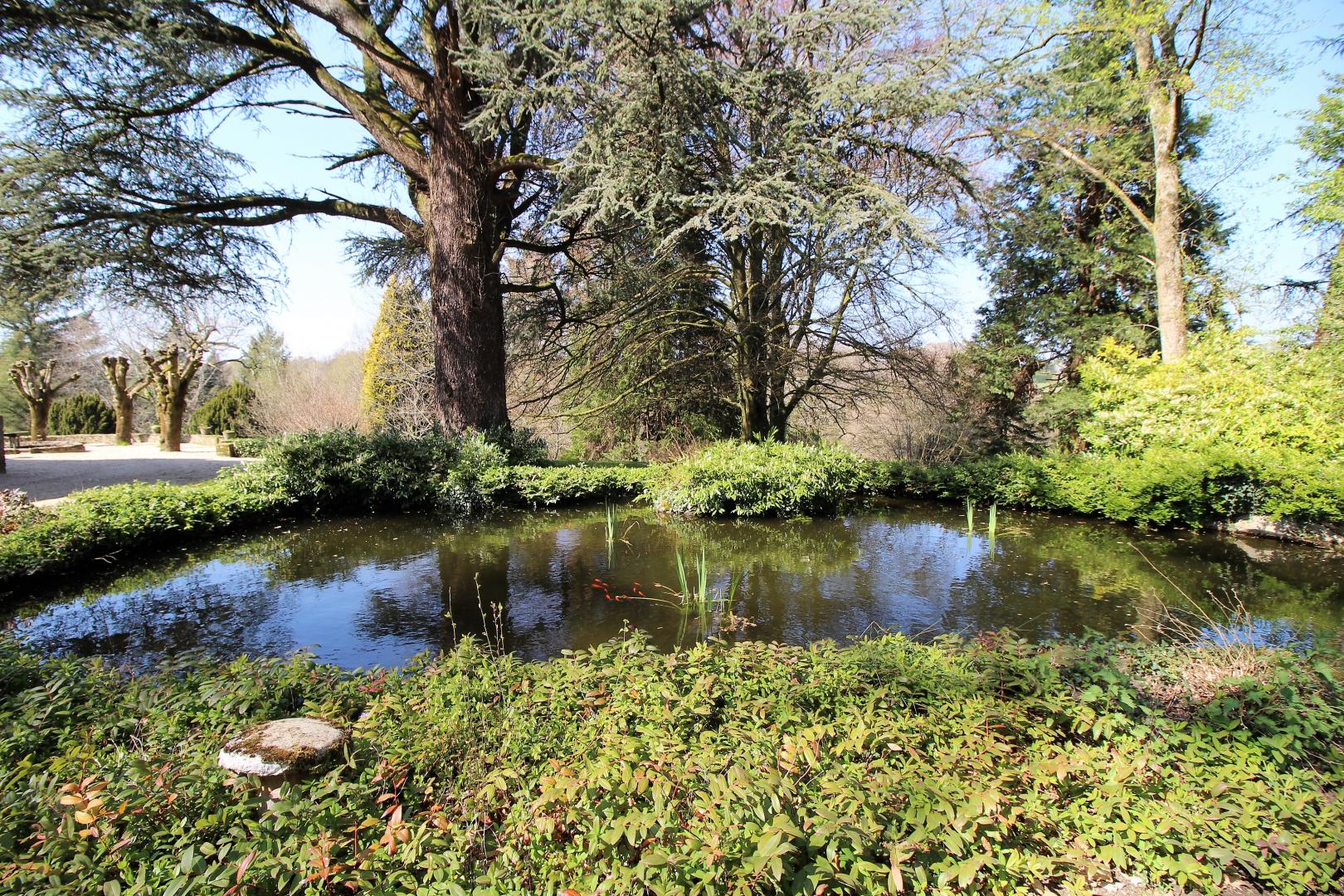 Le Domaine du  Boschaudérier, Saint-Gence - photo 412
