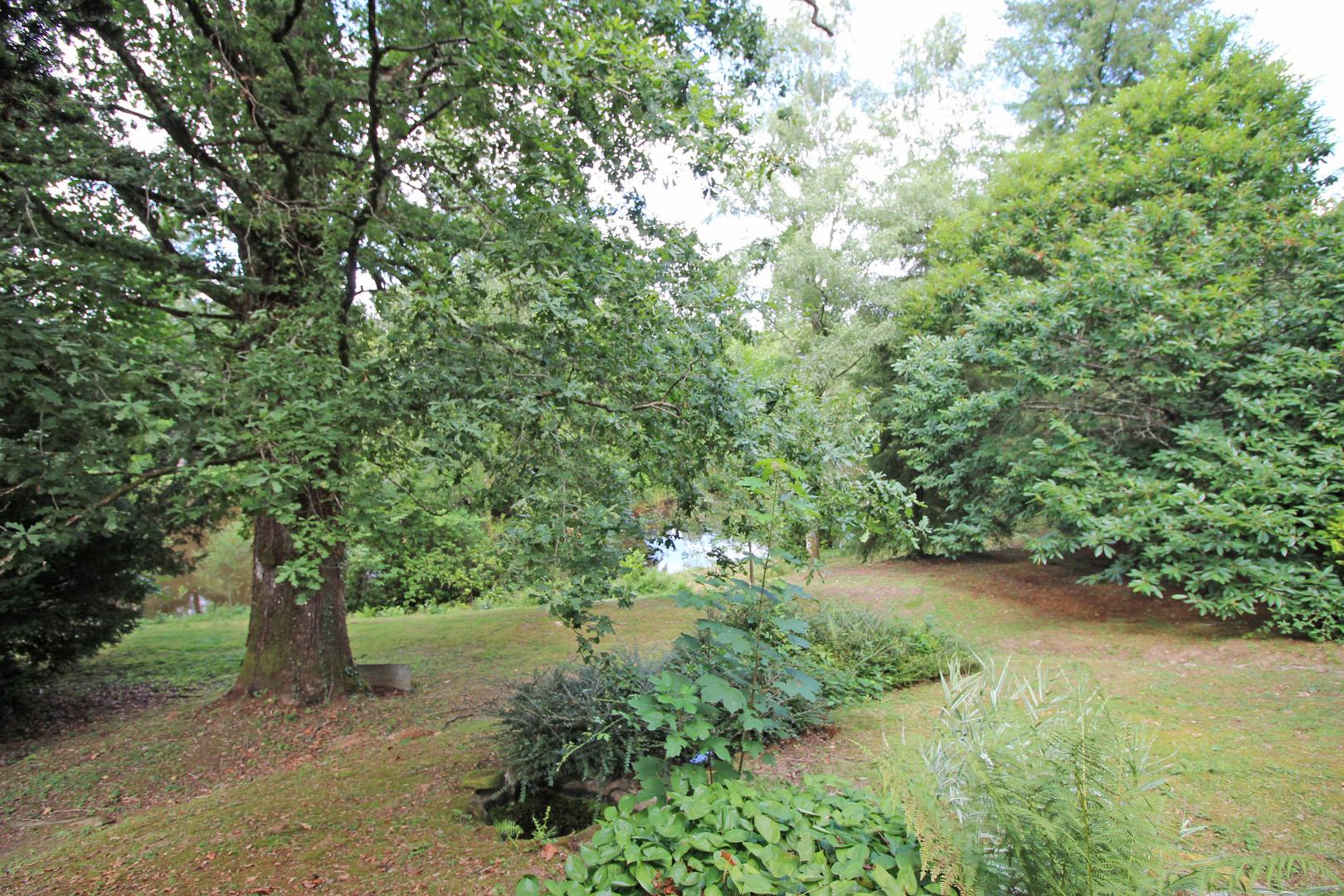 Le Domaine du  Boschaudérier, Saint-Gence - photo 436