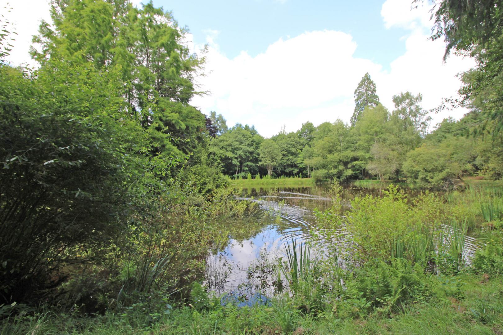 Le Domaine du  Boschaudérier, Saint-Gence - photo 411
