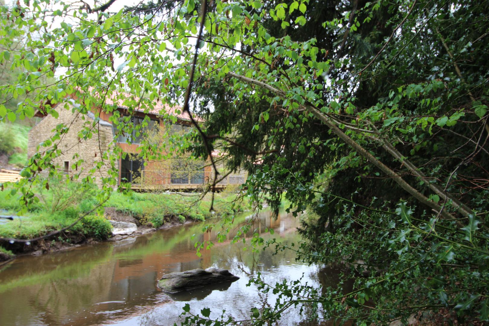 Le Rabaud, Saint-Gence - photo 592