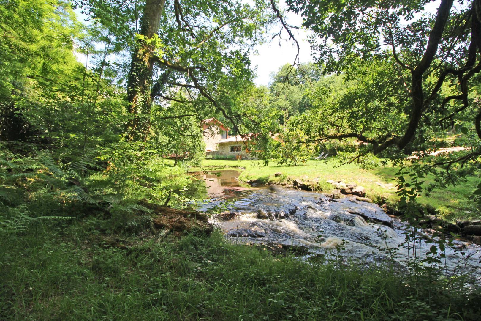 Le Rabaud, Saint-Gence - photo 598