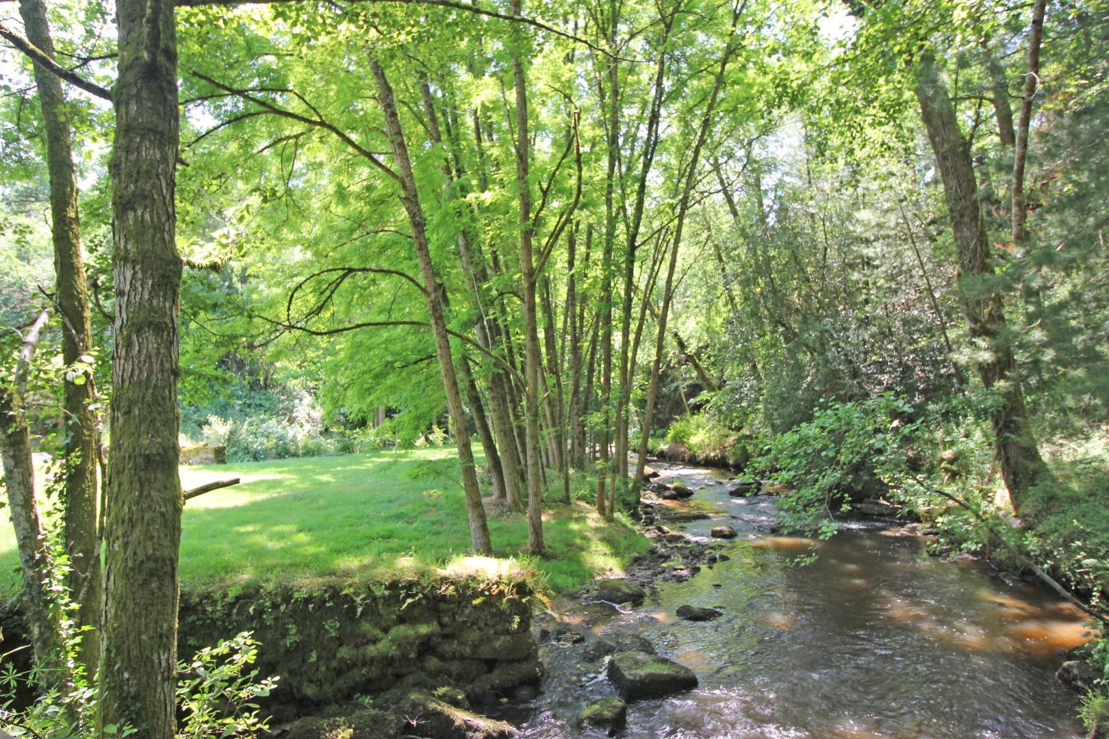Le Rabaud, Saint-Gence - photo 579