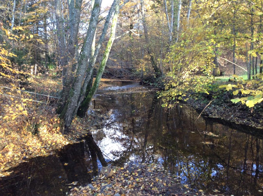 Le Moulin de Pont Pery, Saint-Martin-le-Vieux - photo 35
