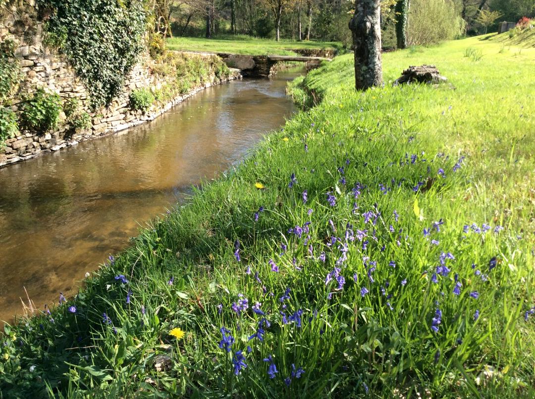 Le Moulin de Pont Pery, Saint-Martin-le-Vieux - photo 57