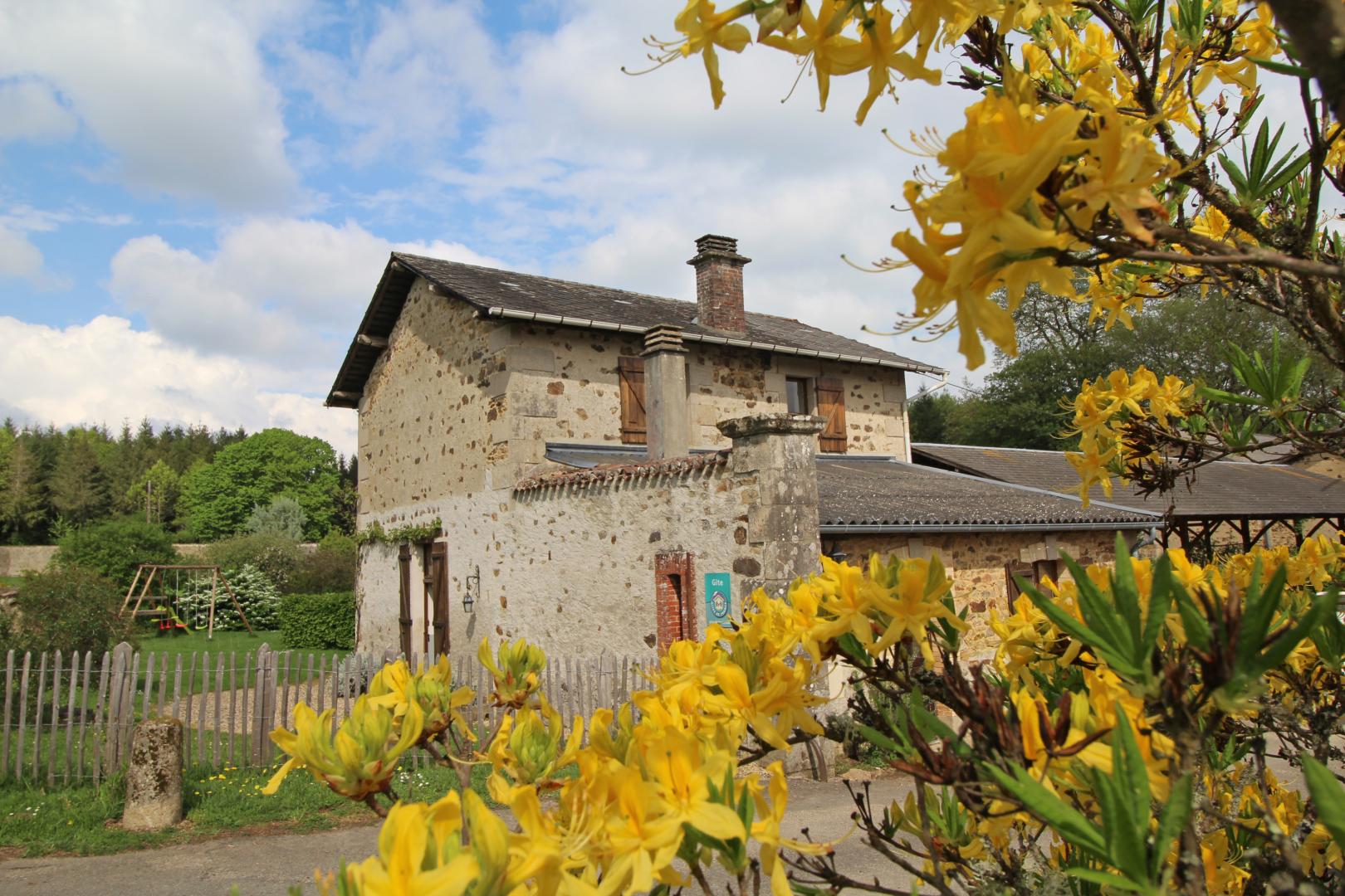 Le Jardin, Saint-Priest-Taurion - photo 130