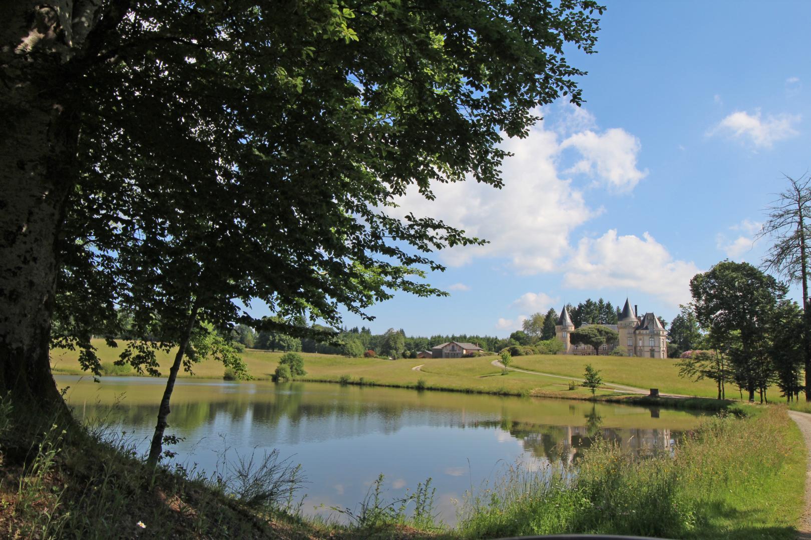 L'Orangerie, Saint-Priest-Taurion - photo 398