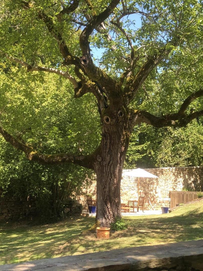 Le logis de la Roche, Saint-Priest-Taurion - photo 24
