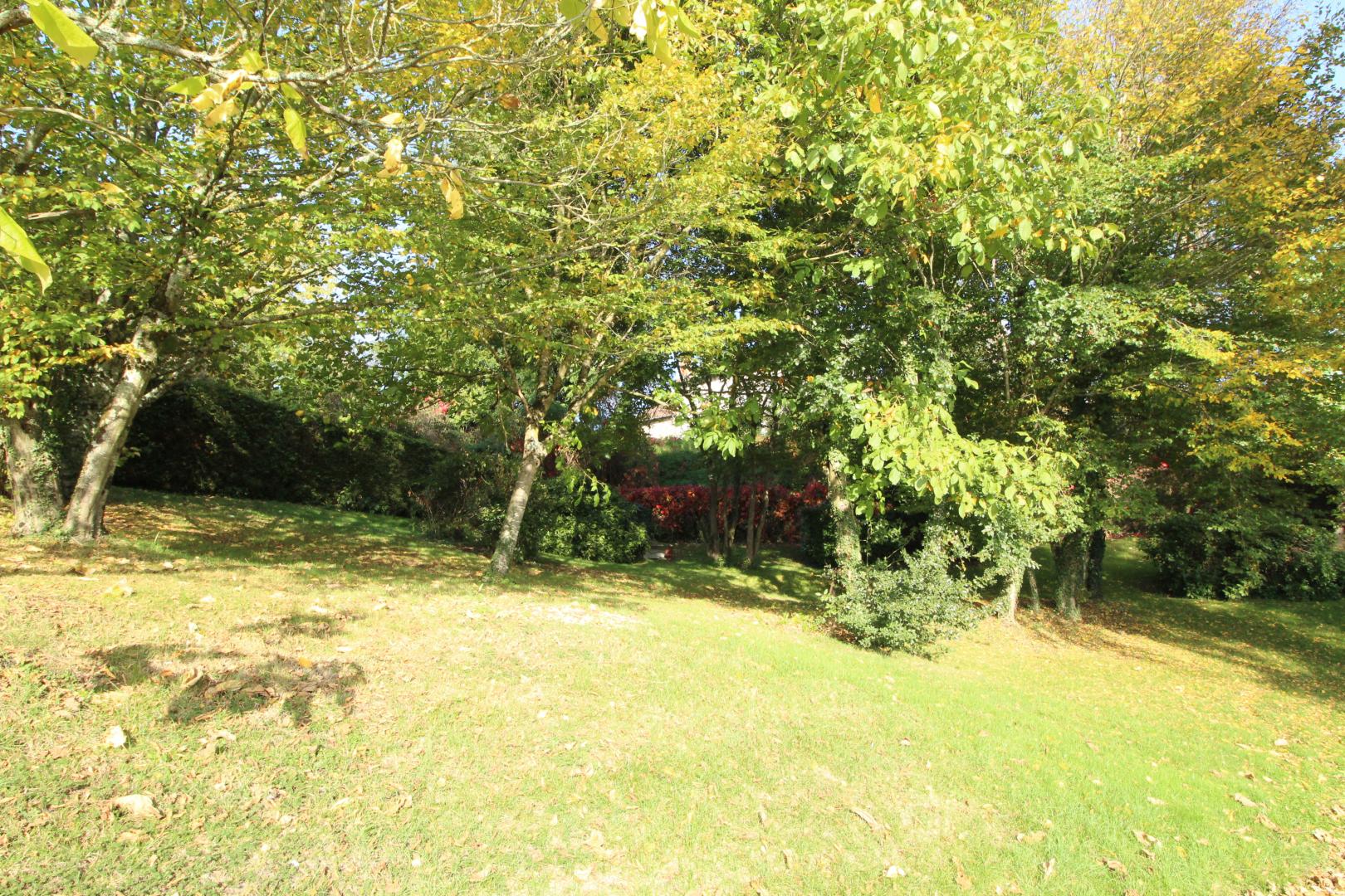 Le Terrier - photo 2