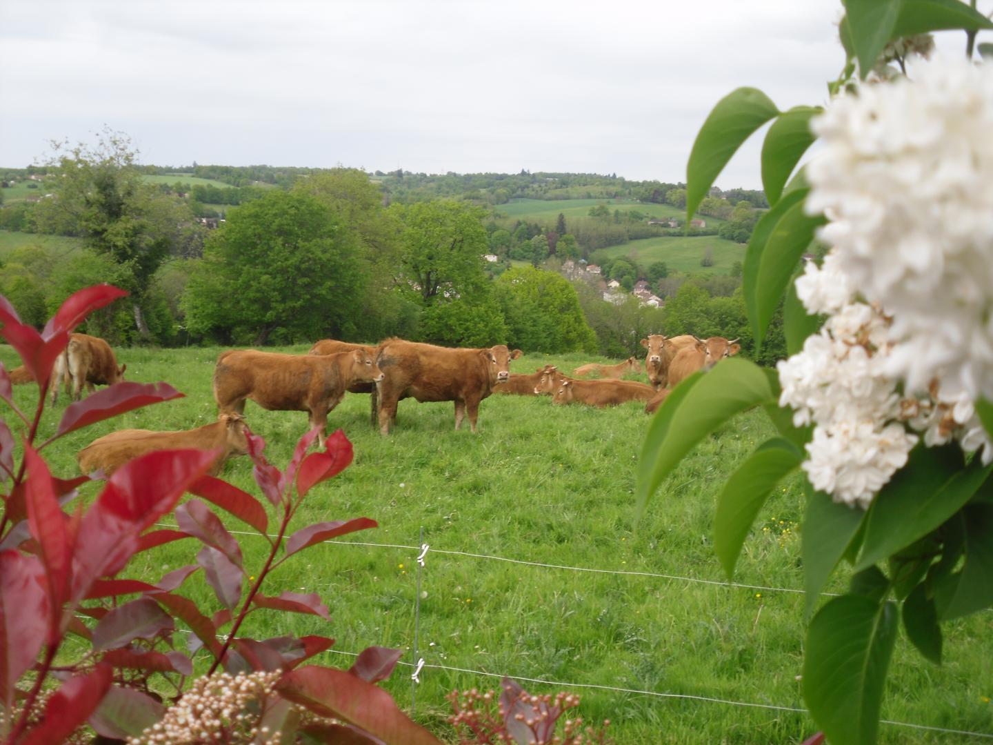 Le Clédier de Cherveix - photo 5