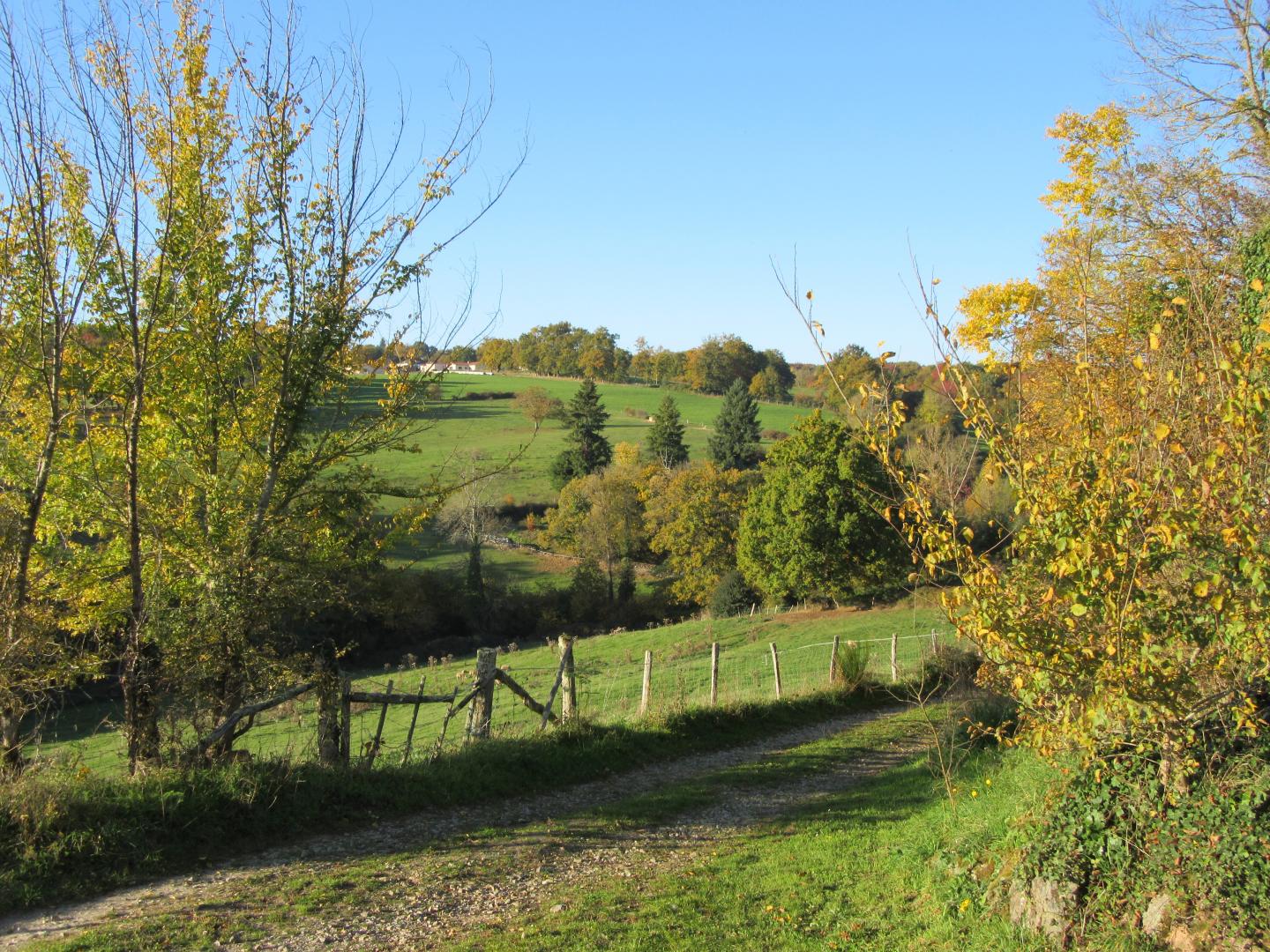 Leygat, Solignac - photo 47