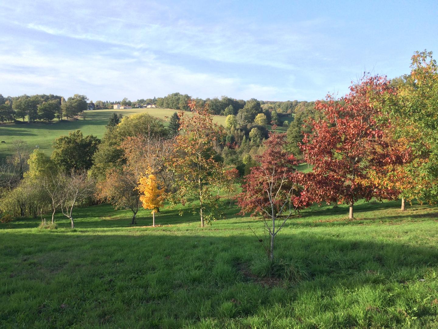 Leygat, Solignac - photo 42