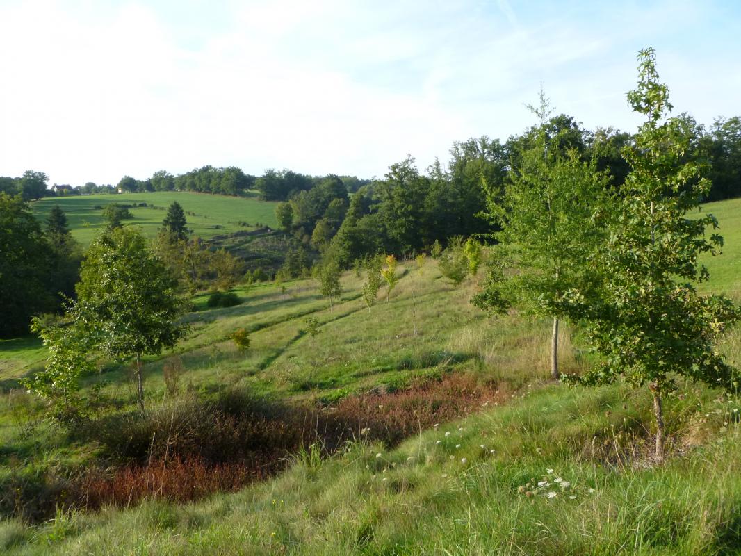 Leygat, Solignac - photo 70