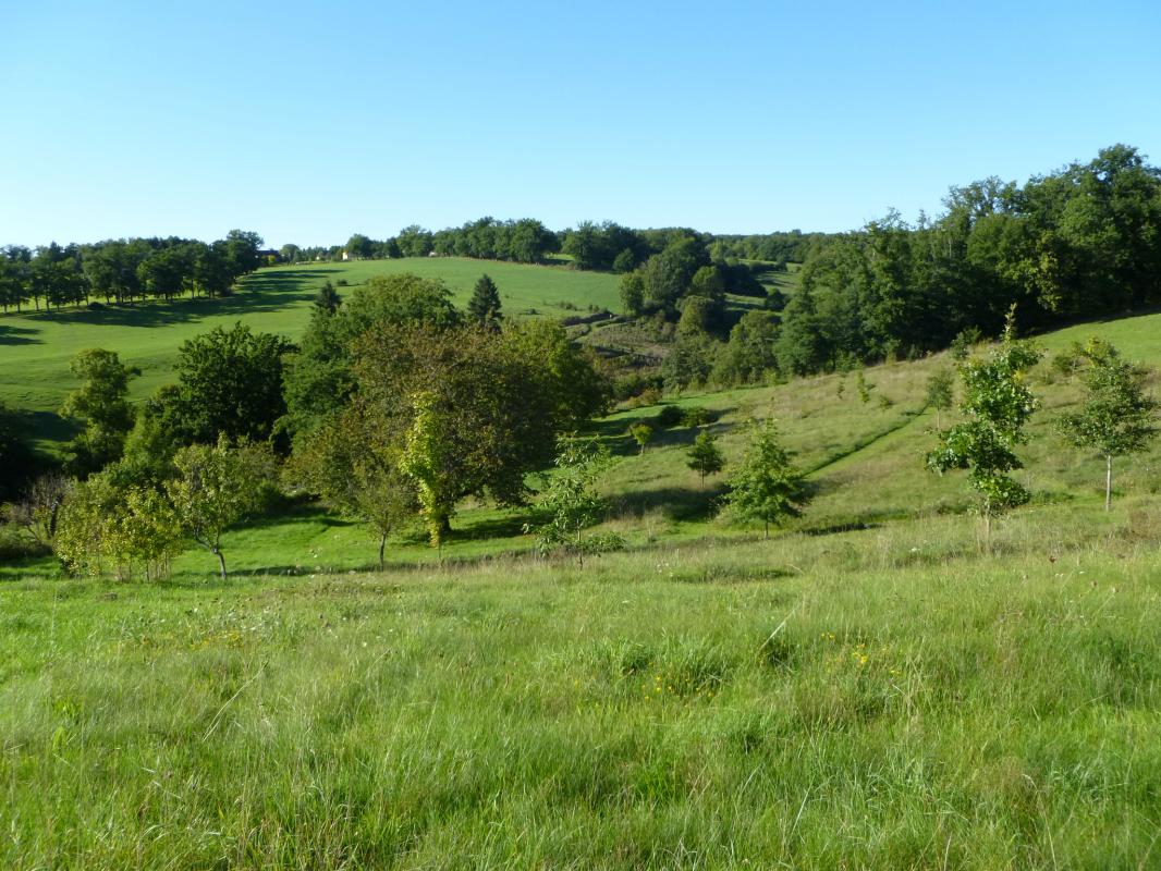 Leygat, Solignac - photo 74