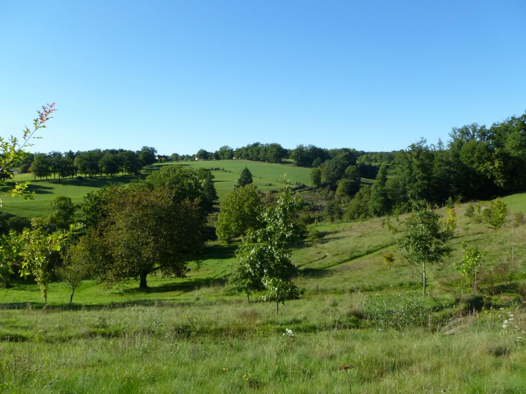 Leygat, Solignac - photo 69