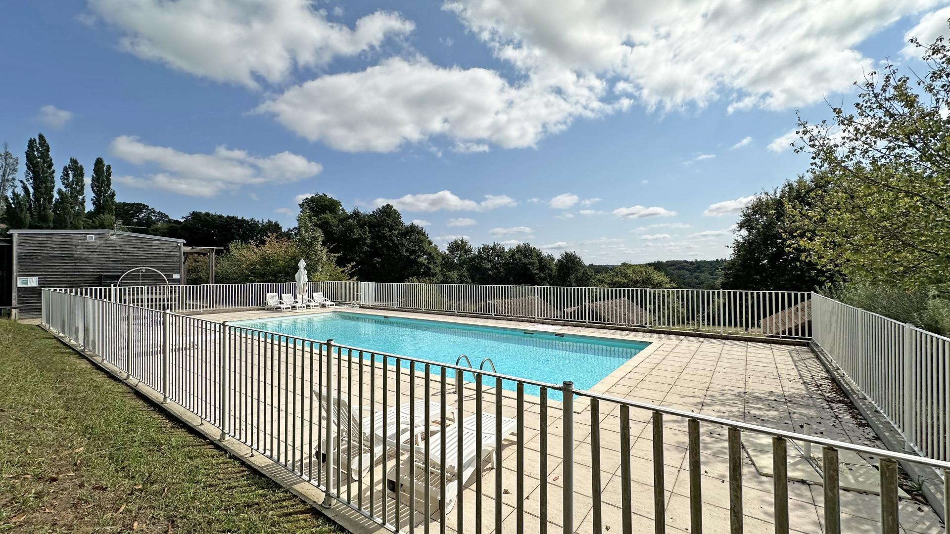 Chataignaux, Verneuil-sur-Vienne - photo 76