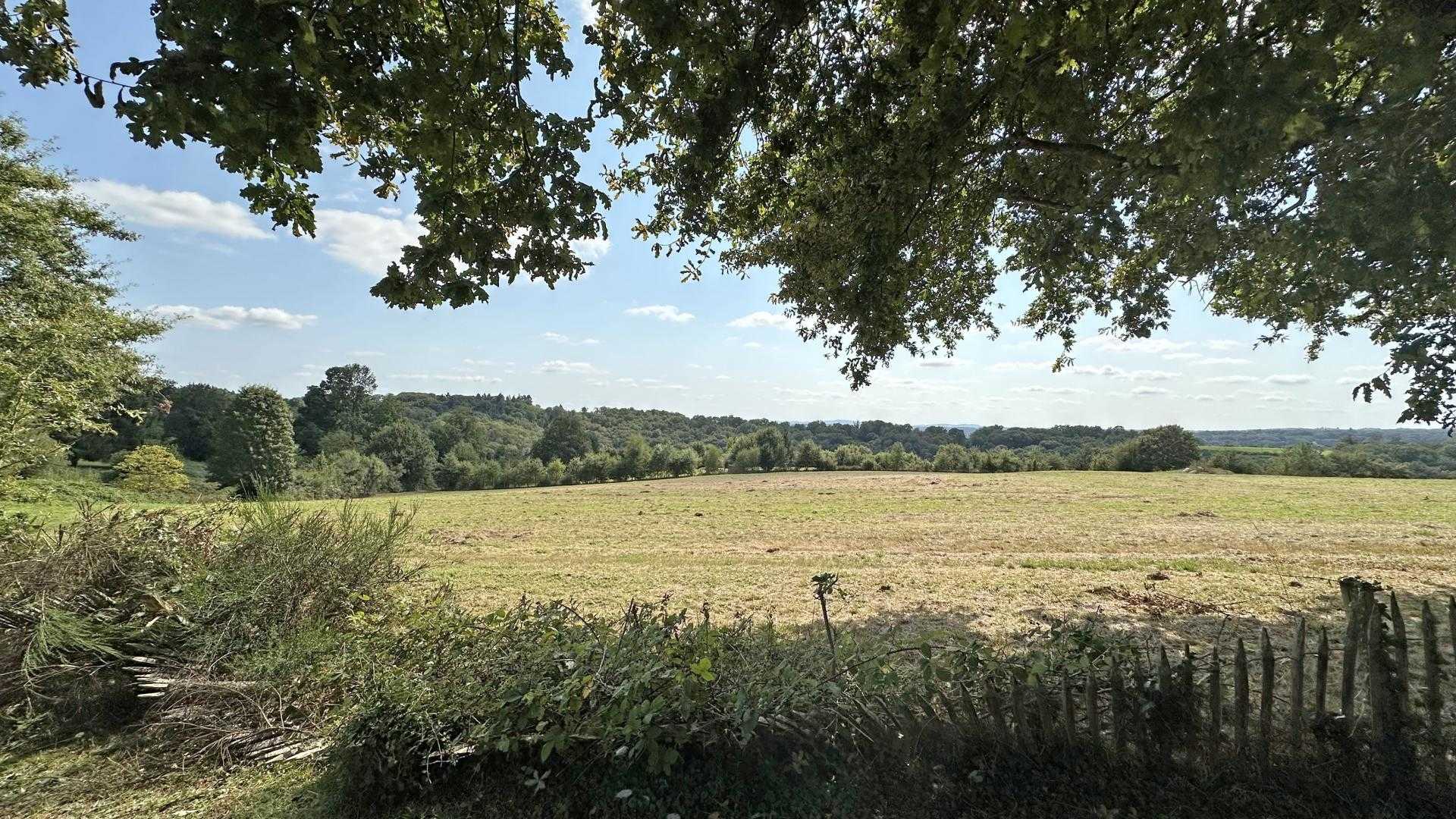 Fûtier, Verneuil-sur-Vienne - photo 102