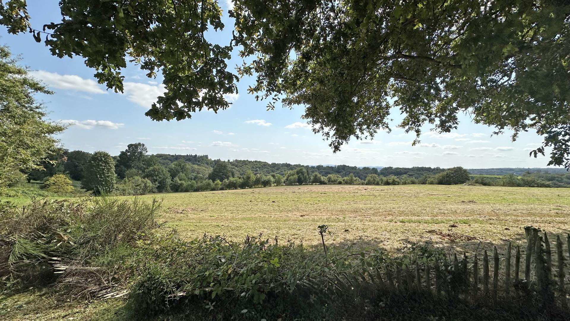 Quatre Vents, Verneuil-sur-Vienne - photo 77