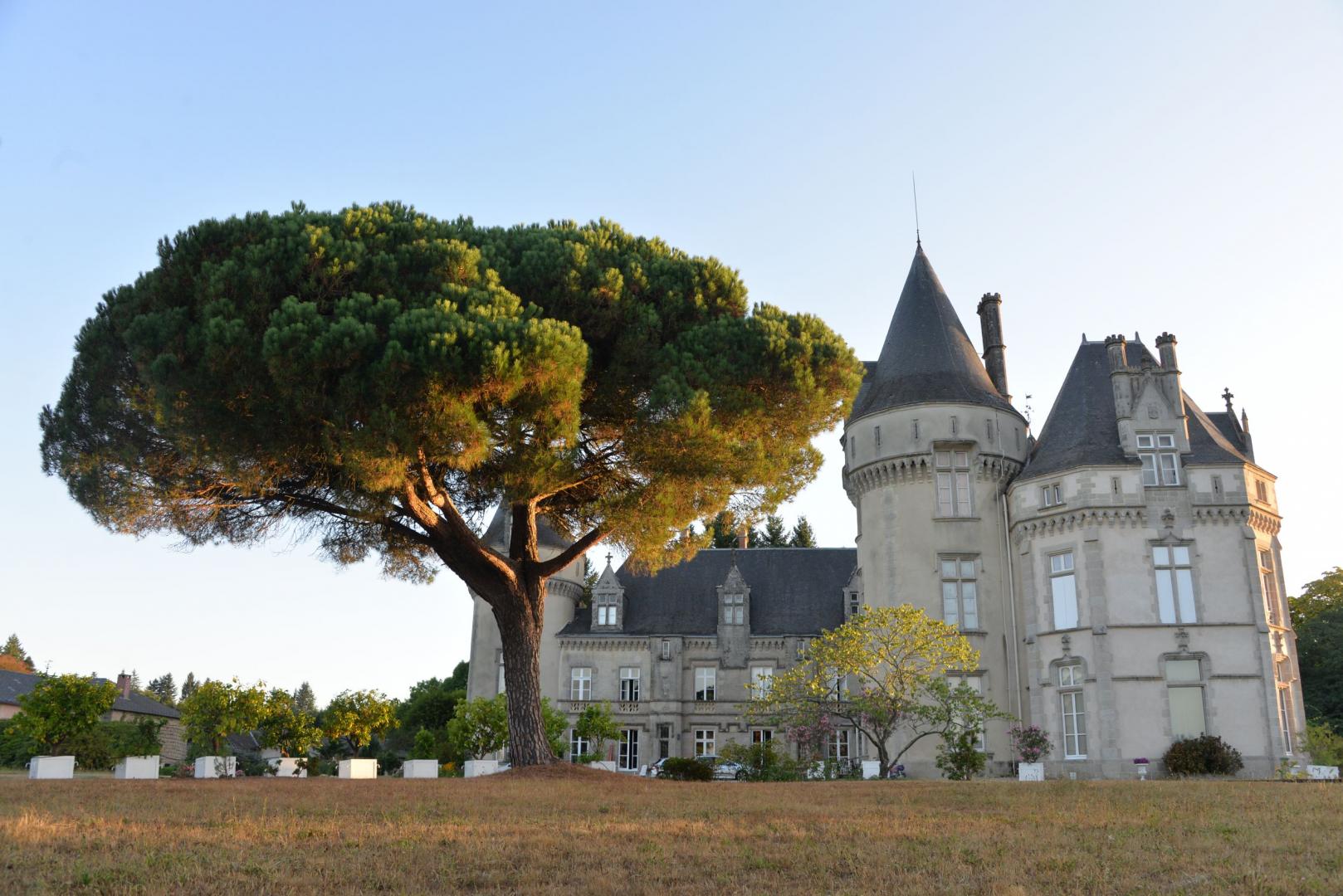 Château de Bort, Saint-Priest-Taurion - photo 132