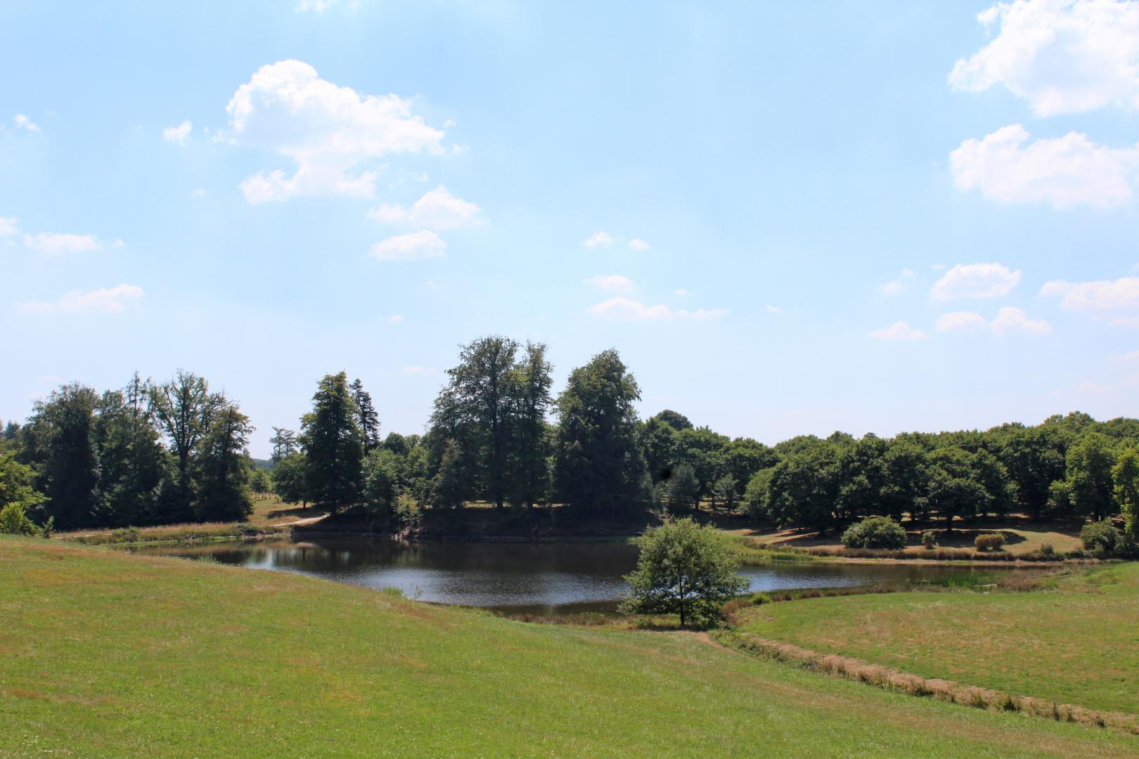Château de Bort, Saint-Priest-Taurion - photo 152