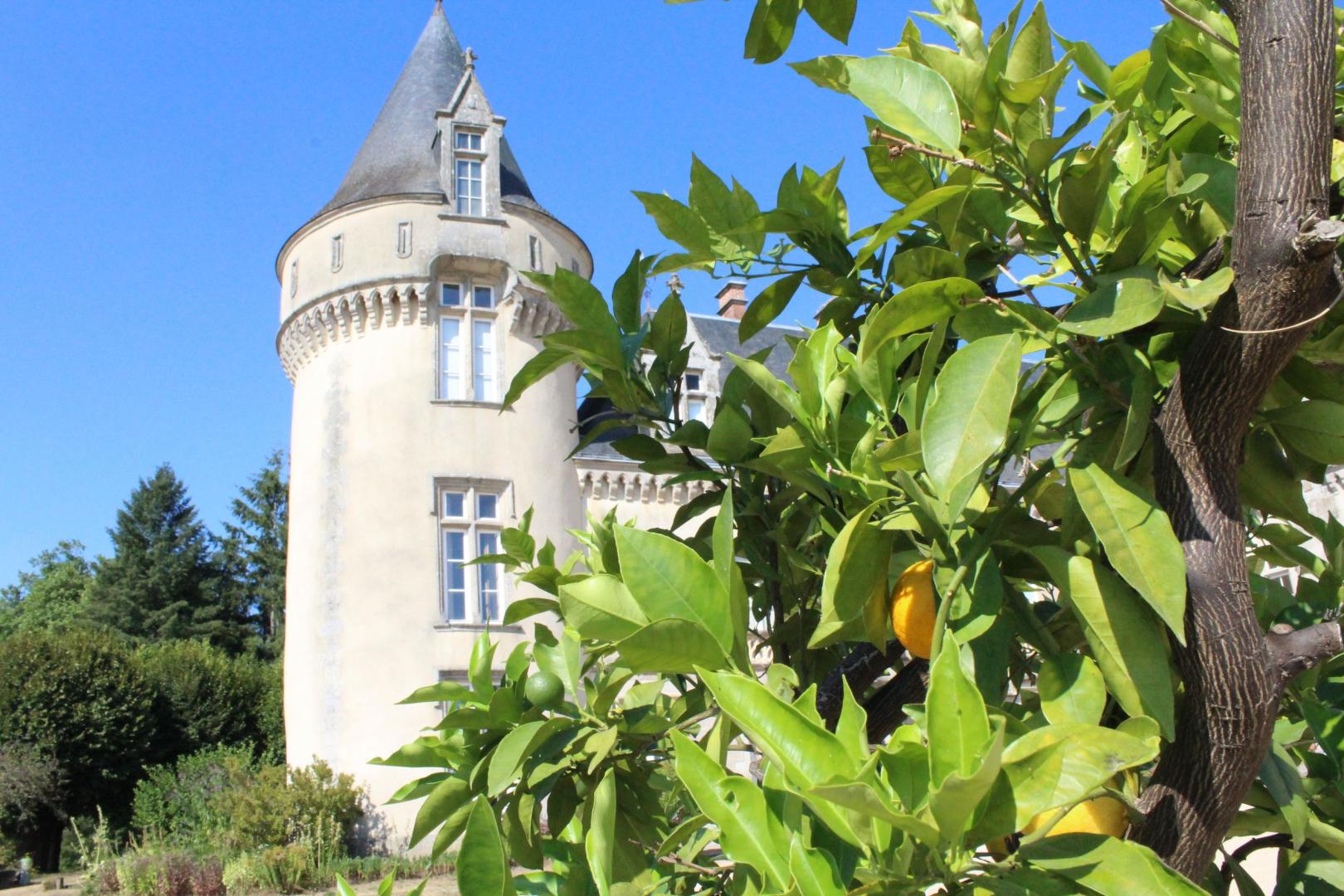 Château de Bort, Saint-Priest-Taurion - photo 163