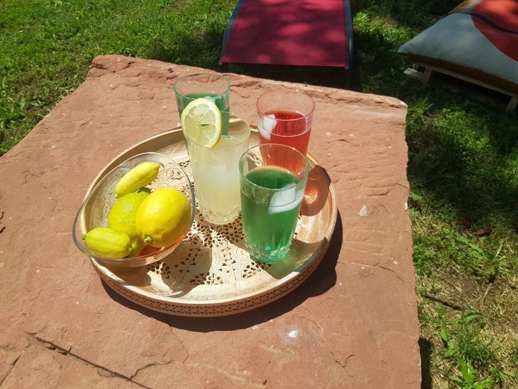 Maison d'Hôtes en Grès Rouge, Lanteuil - photo 9