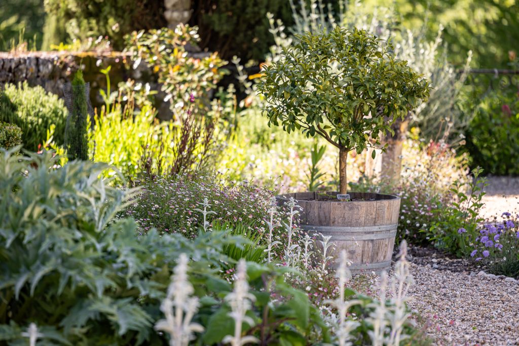 Les Jardins de Sardy, Vélines - photo 10