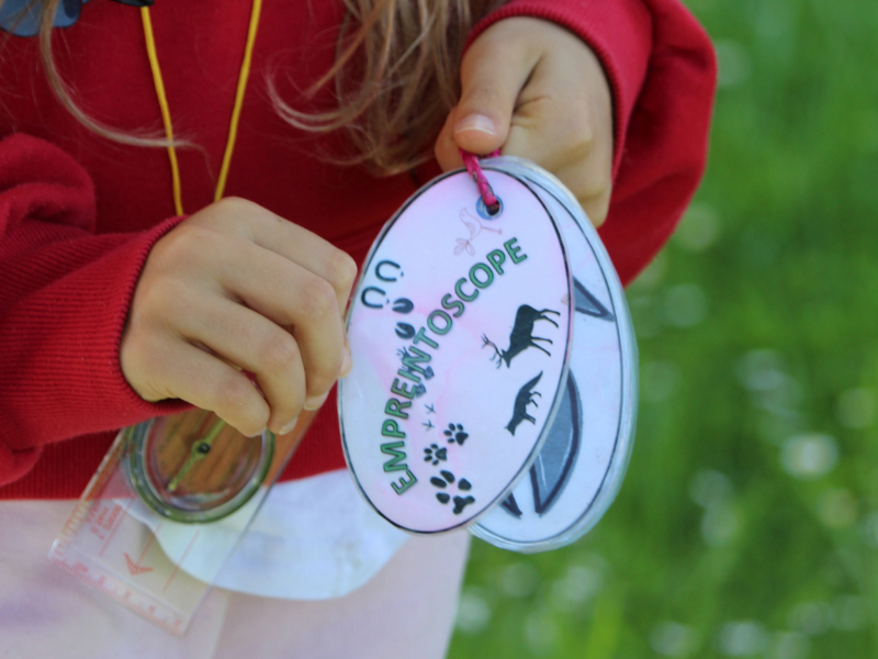 Création d'un empreintoscope à Terres d'Oiseaux, Braud-et-Saint-Louis - photo 4
