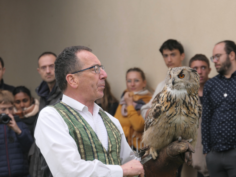 Fête des rapaces et "Spectacle de fauconnerie" à Terres d'Oiseaux, Braud-et-Saint-Louis
