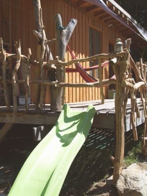 L'Eveil de la Forêt - gîte Au Pied des Hêtres