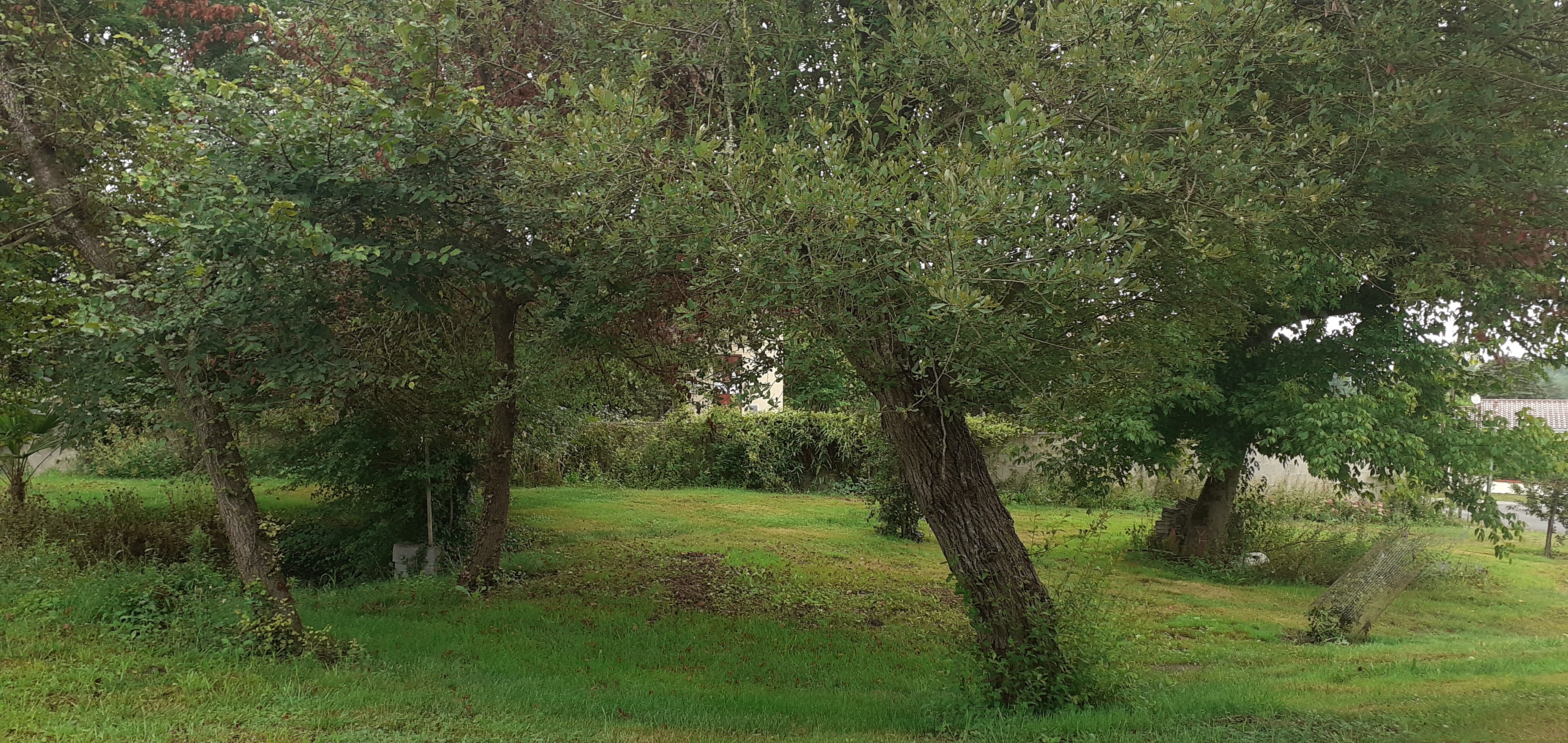 Meublé PIAC, Casteljaloux - photo 4