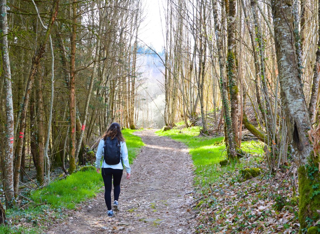 Circuit du dolmen de la Goupillère, Les Cars - photo 4