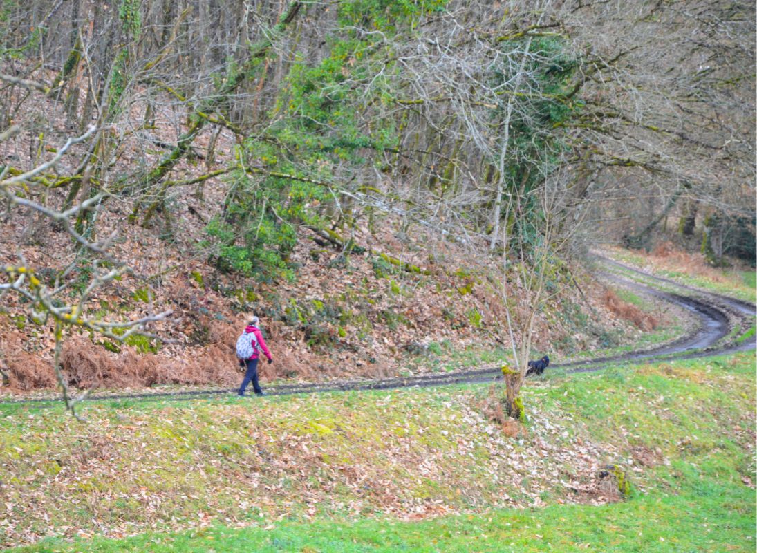 Circuit des fontaines et des étangs, Flavignac - photo 6