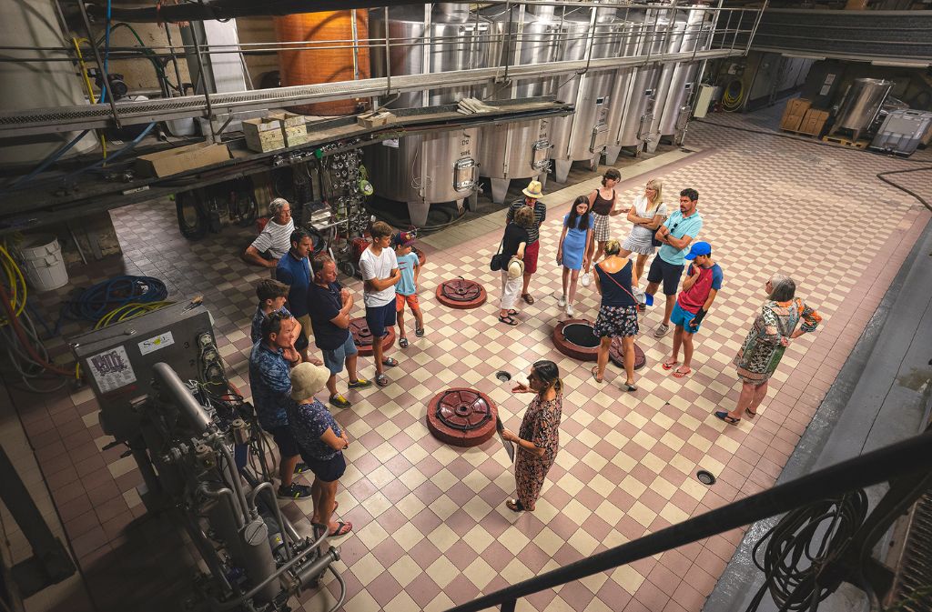 Guided tour & local produces | Domaine de Grange Neuve, Pomport - photo 2