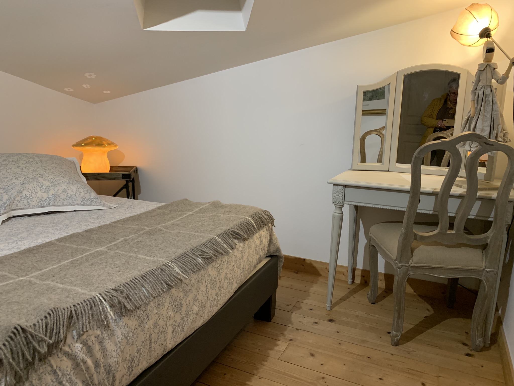 Gîte du Logis de la Roche (G 278), Chauray - photo 10