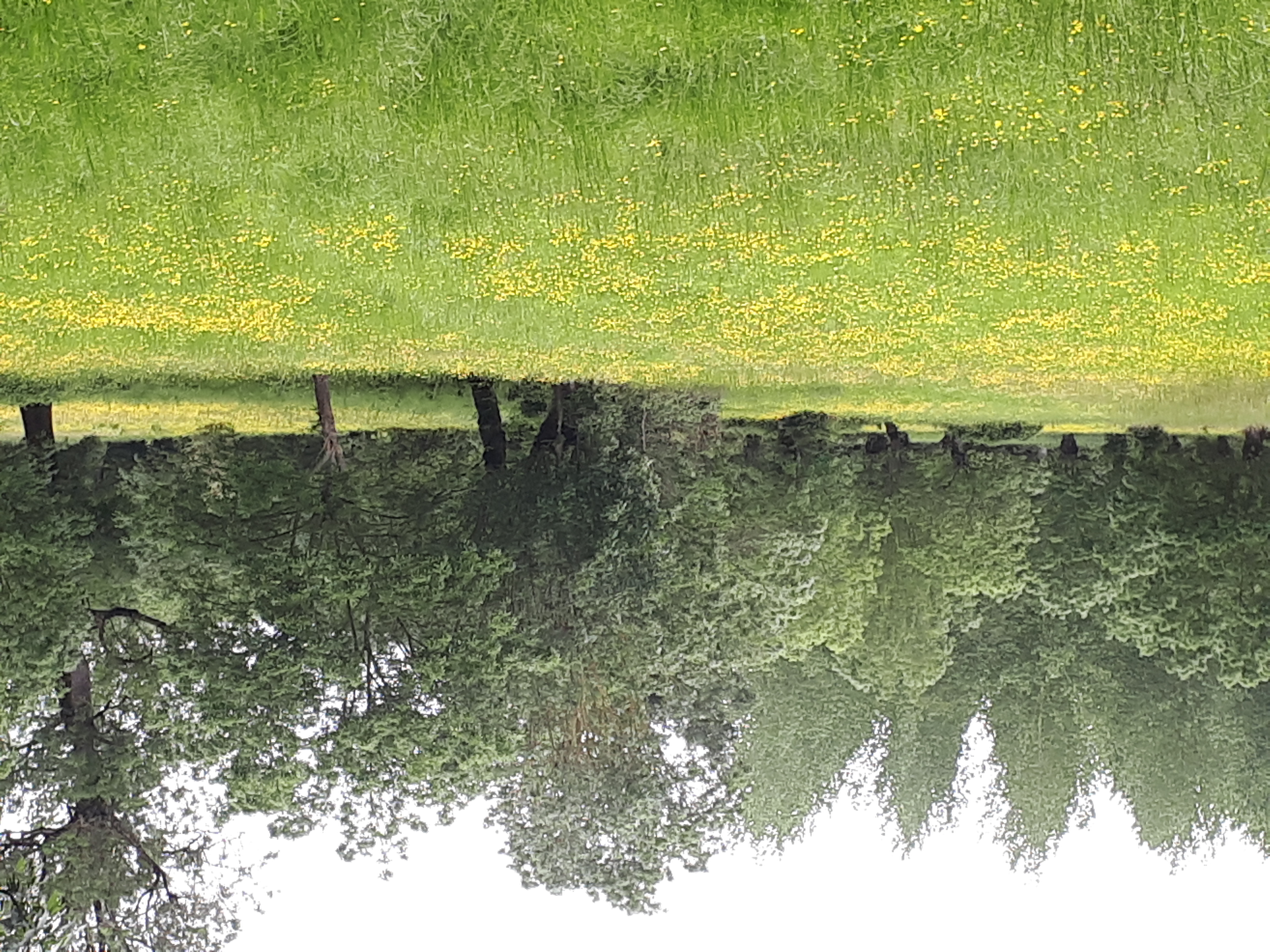 Domaine du Canal - Gîte de la Grange (G 260), Arçais - photo 10