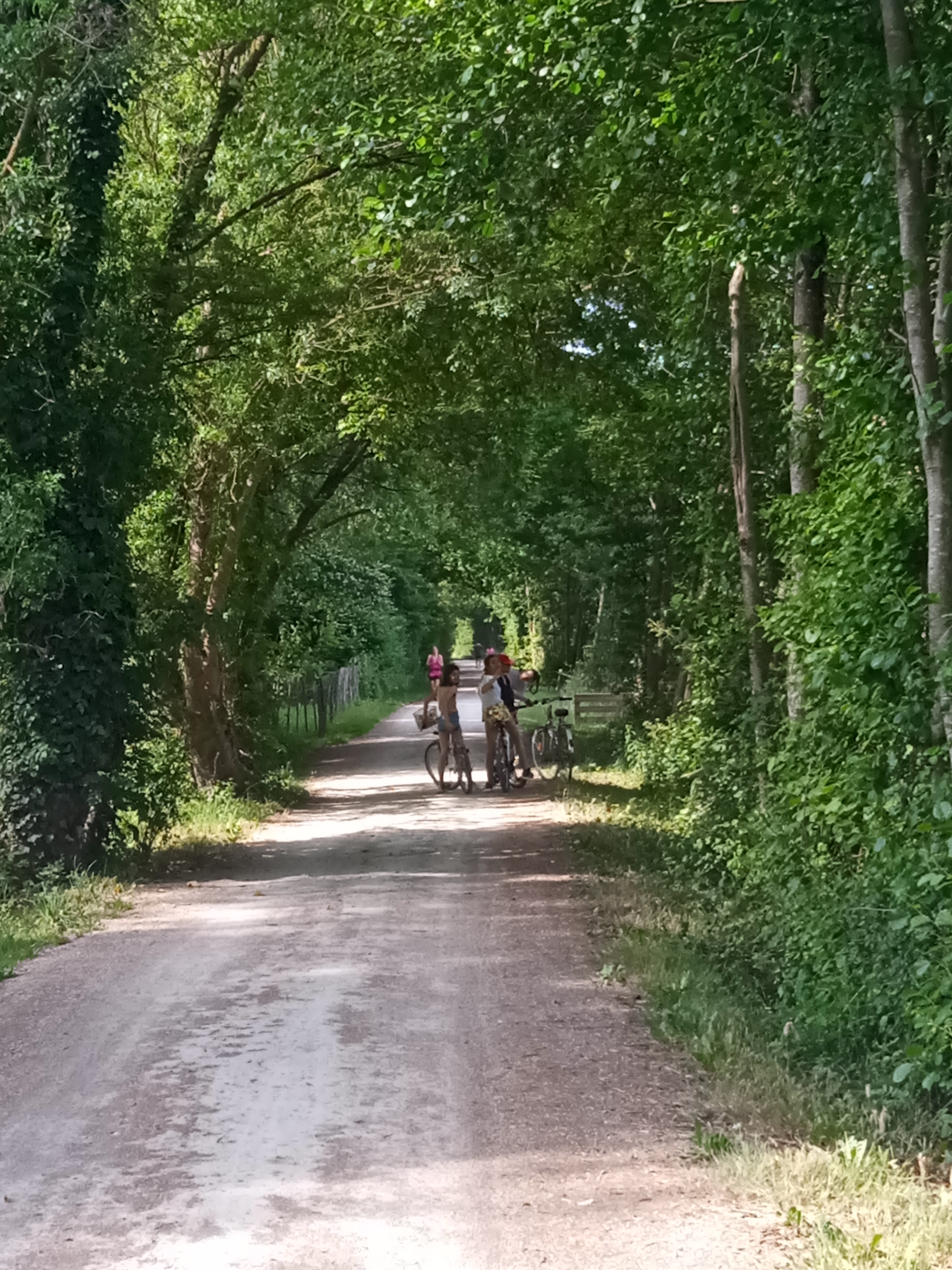 Ma petite maison au bord de l'eau, Magné - photo 7