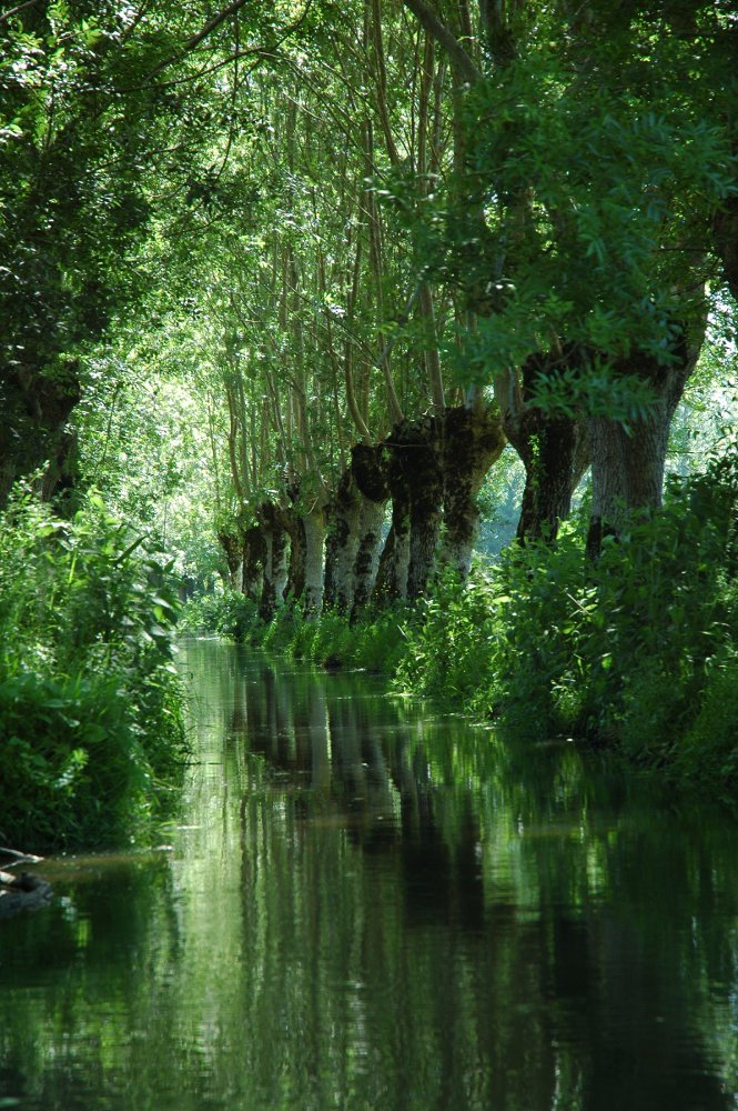 Embarcadère "La Pigouille" - photo 4