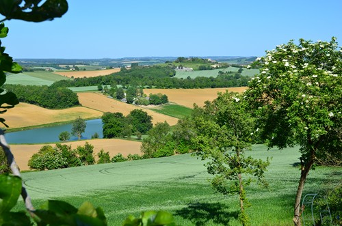 Tourtrès, du pech du moulin à vent au bois de Verteuil, Tourtrès - photo 3