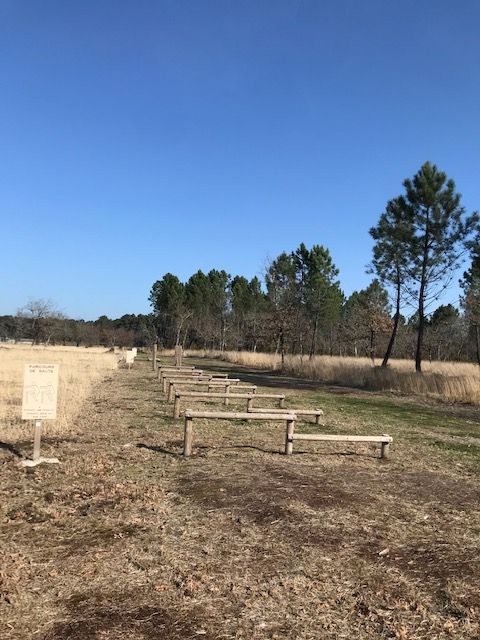 Les Pistes de Robin : la flore de Brach, Brach - photo 5