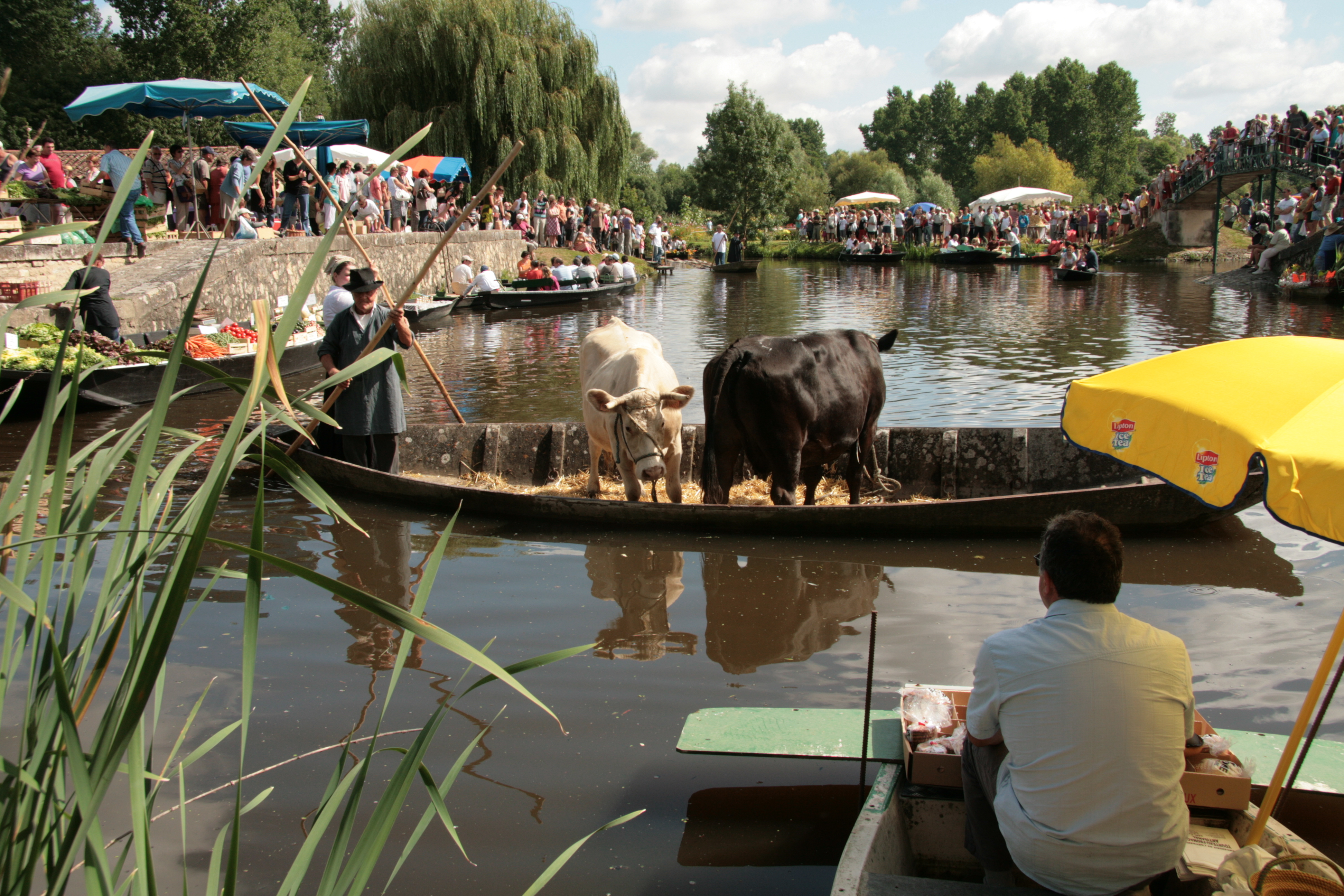 Grand Port du Vanneau-Irleau