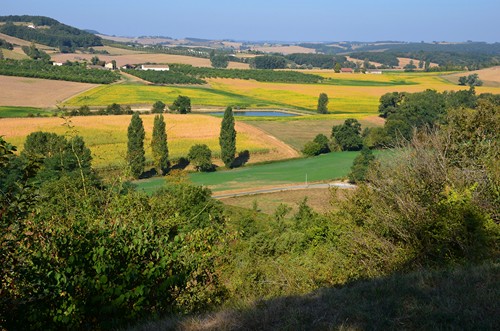Saint-Pastour, une bastide de hauteur, Saint-Pastour - photo 3