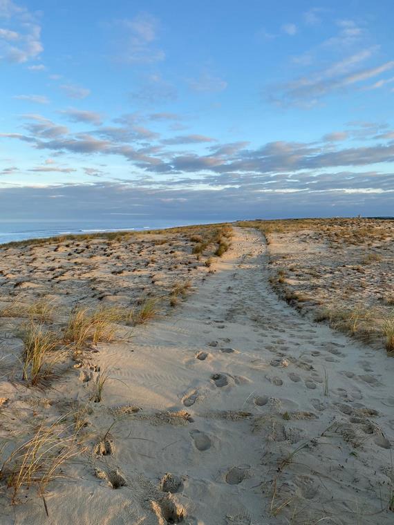 BEL AIR PLAGE - Mésange