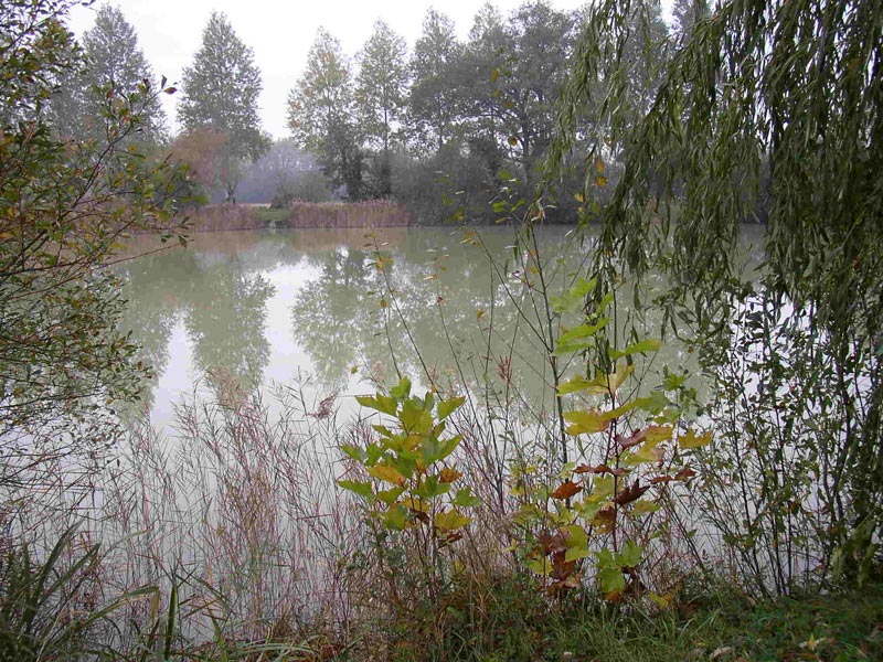 Plan d'eau d'Epannes