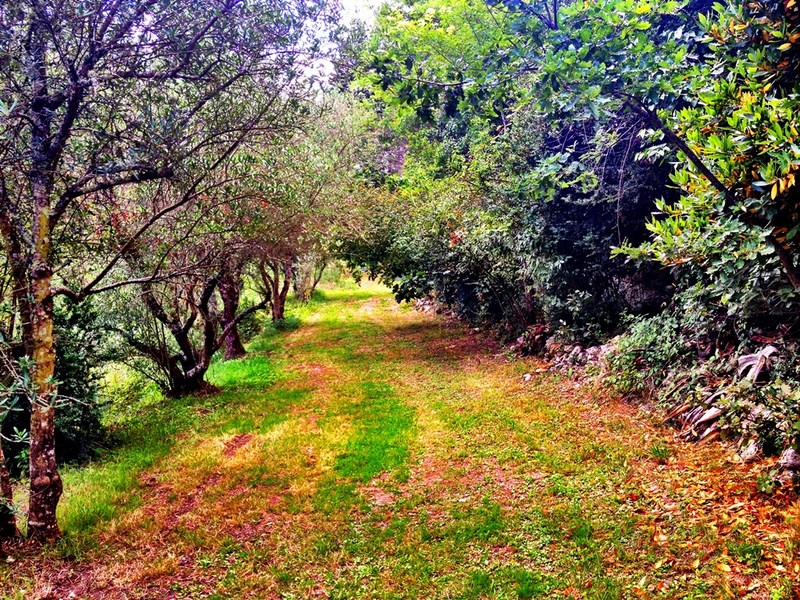 Manoir de Montargen : gîte Sempesserre, Saint-Maurin - photo 2