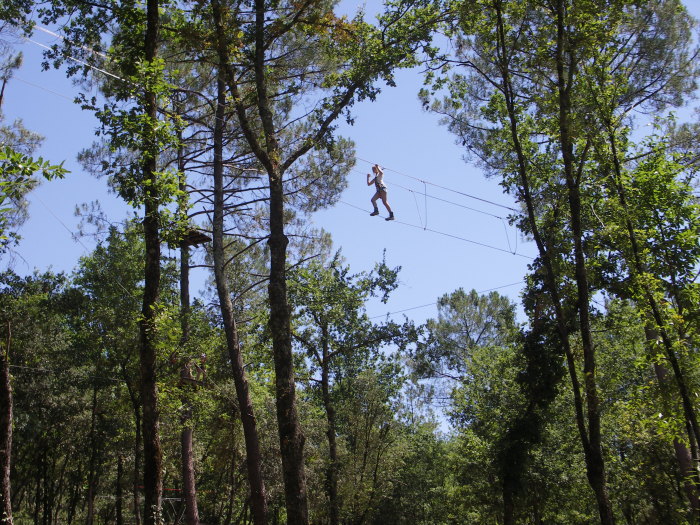 La Forêt des Ecureuils - photo 2