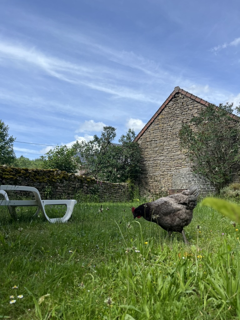 Gîte Le Fer à Cheval Vassivière 2 places - photo 3