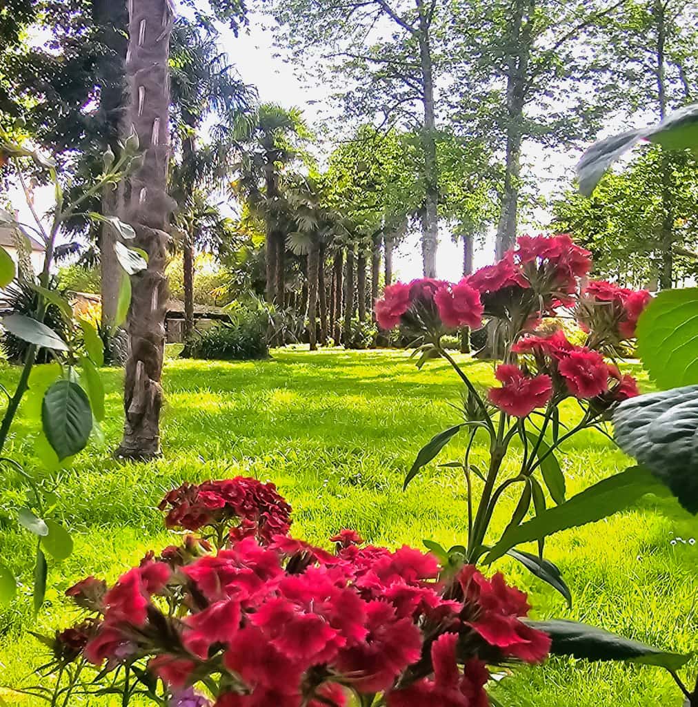 Château Arche d'Aure, Vicq-d'Auribat - photo 20